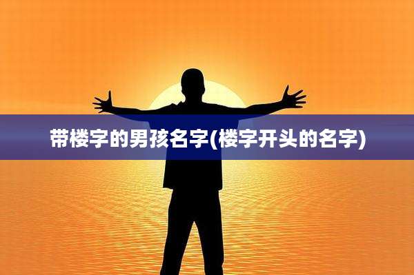 带楼字的男孩名字(楼字开头的名字)