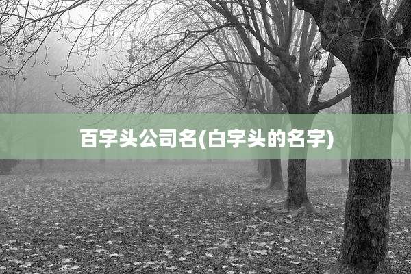 百字头公司名(白字头的名字)