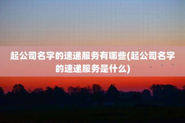 起公司名字的速递服务有哪些(起公司名字的速递服务是什么)