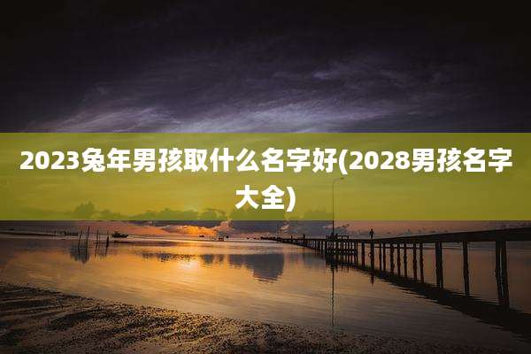 2023兔年男孩取什么名字好(2028男孩名字大全)