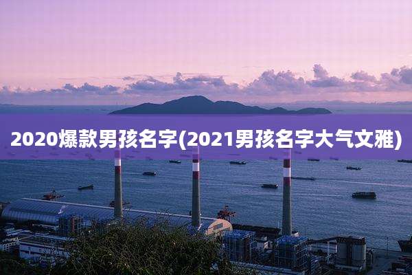 2020爆款男孩名字(2021男孩名字大气文雅)