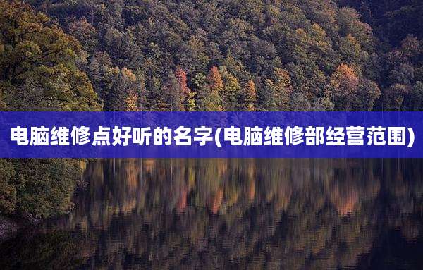 电脑维修点好听的名字(电脑维修部经营范围)