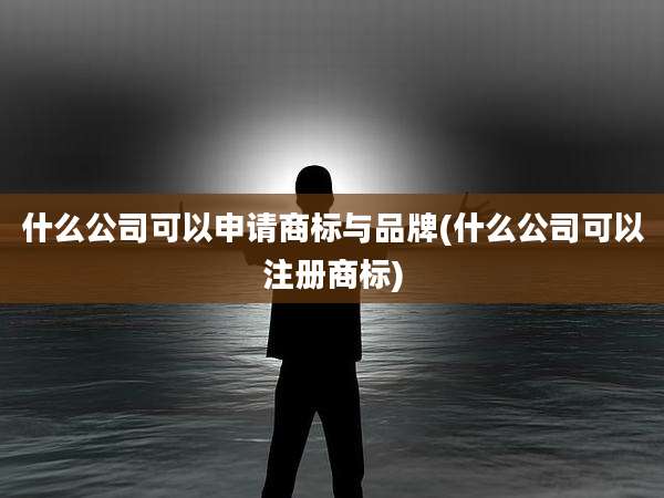 什么公司可以申请商标与品牌(什么公司可以注册商标)