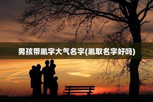 男孩带胤字大气名字(胤取名字好吗)