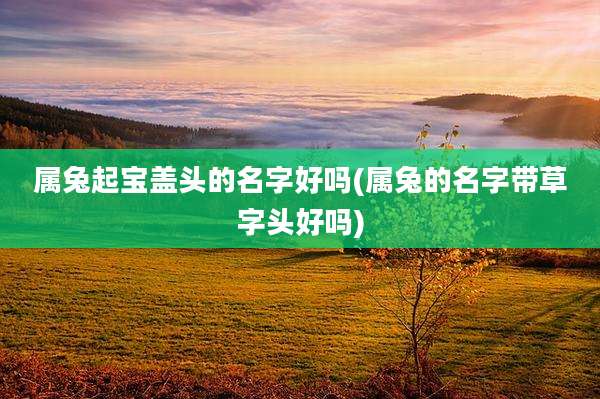 属兔起宝盖头的名字好吗(属兔的名字带草字头好吗)