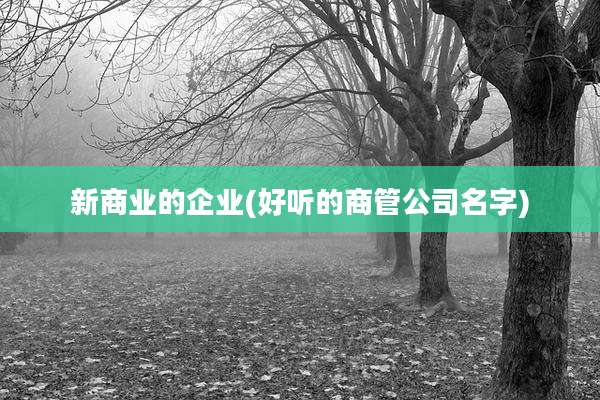 新商业的企业(好听的商管公司名字)