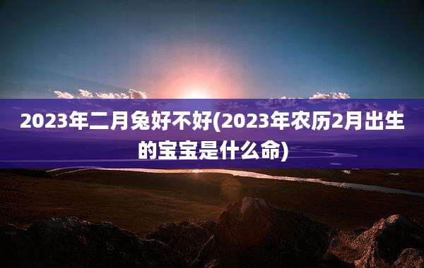 2023年二月兔好不好(2023年农历2月出生的宝宝是什么命)