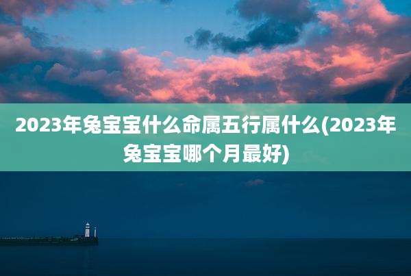 2023年兔宝宝什么命属五行属什么(2023年兔宝宝哪个月最好)