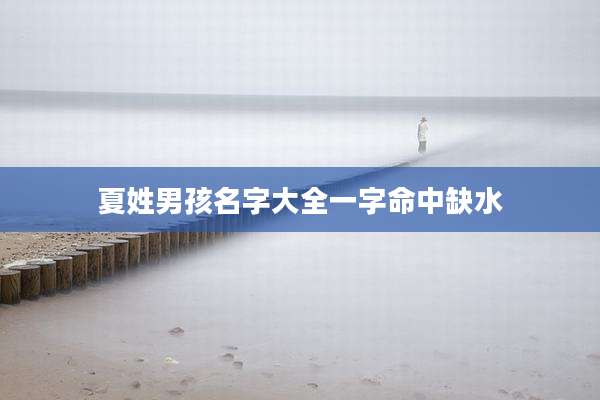 夏姓男孩名字大全一字命中缺水
