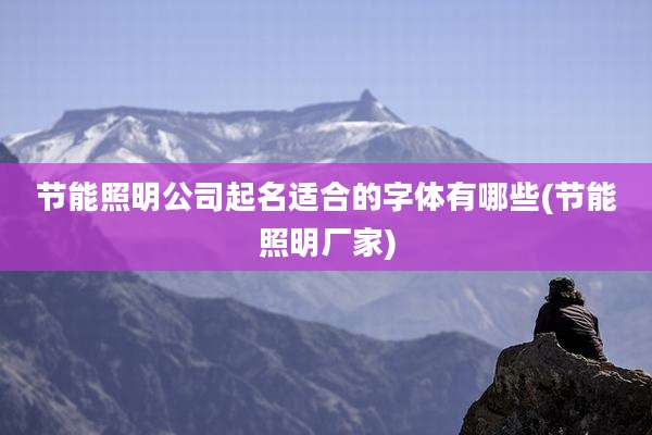 节能照明公司起名适合的字体有哪些(节能照明厂家)