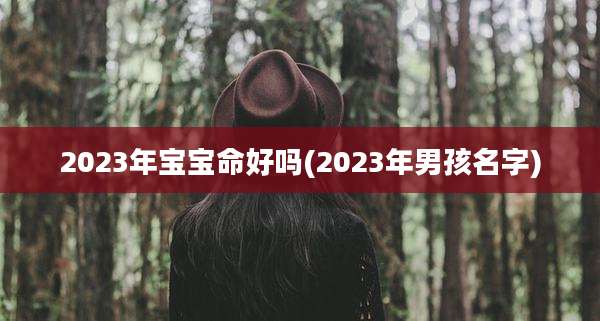 2023年宝宝命好吗(2023年男孩名字)