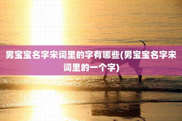 男宝宝名字宋词里的字有哪些(男宝宝名字宋词里的一个字)