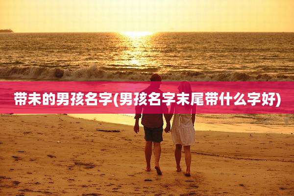 带未的男孩名字(男孩名字末尾带什么字好)
