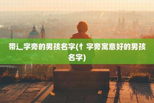带辶字旁的男孩名字(忄字旁寓意好的男孩名字)