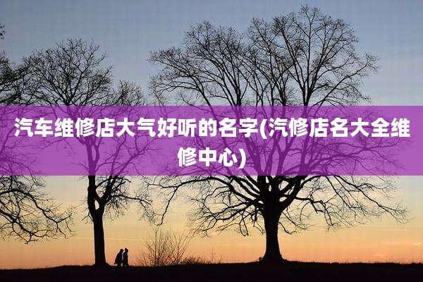 汽车维修店大气好听的名字(汽修店名大全维修中心)