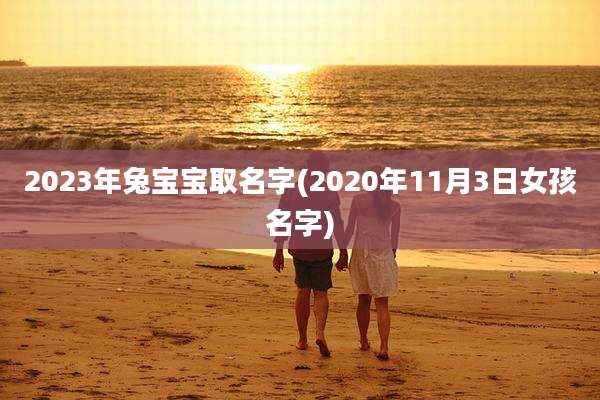2023年兔宝宝取名字(2020年11月3日女孩名字)