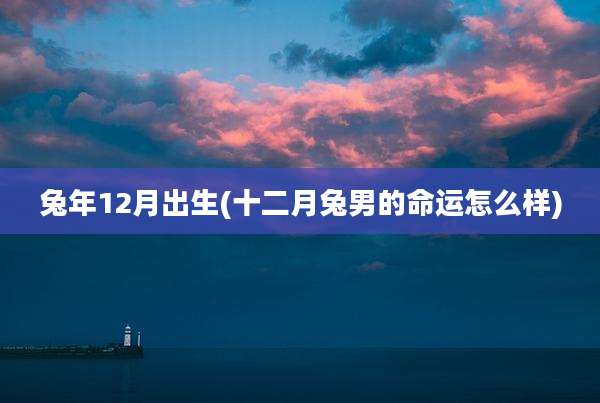 兔年12月出生(十二月兔男的命运怎么样)