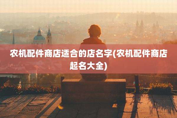 农机配件商店适合的店名字(农机配件商店起名大全)