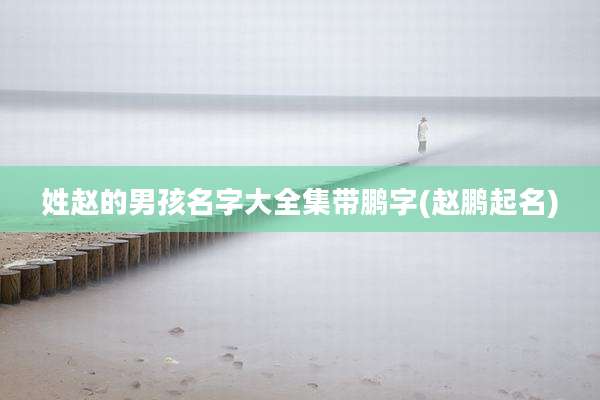 姓赵的男孩名字大全集带鹏字(赵鹏起名)