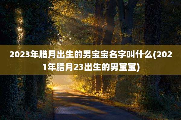2023年腊月出生的男宝宝名字叫什么(2021年腊月23出生的男宝宝)