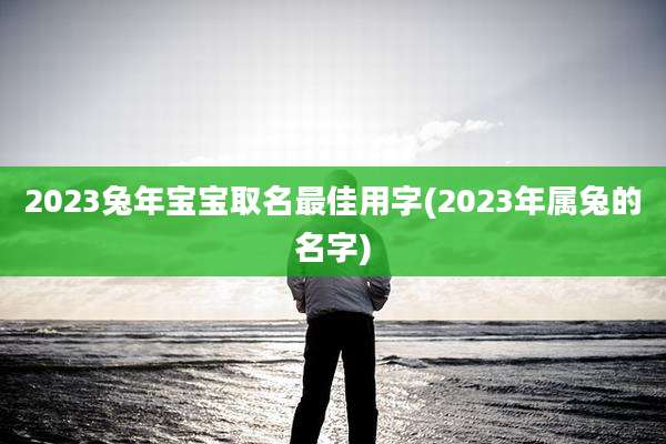 2023兔年宝宝取名最佳用字(2023年属兔的名字)
