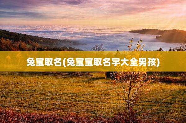兔宝取名(兔宝宝取名字大全男孩)