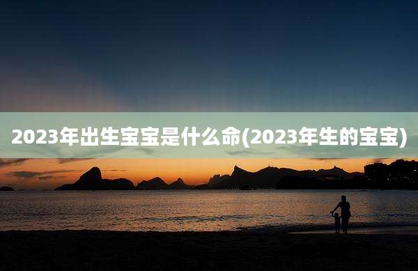 2023年出生宝宝是什么命(2023年生的宝宝)