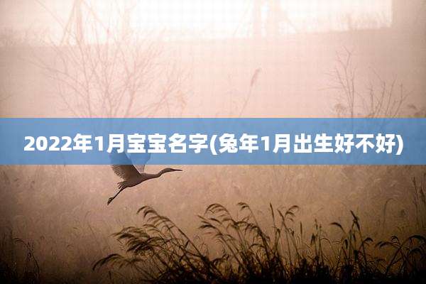 2022年1月宝宝名字(兔年1月出生好不好)