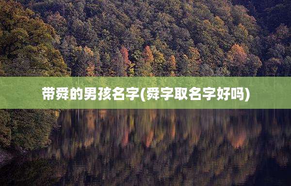 带舜的男孩名字(舜字取名字好吗)
