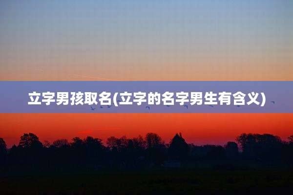 立字男孩取名(立字的名字男生有含义)