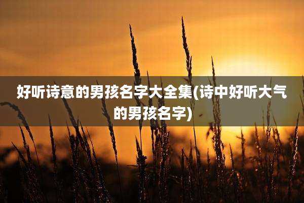 好听诗意的男孩名字大全集(诗中好听大气的男孩名字)