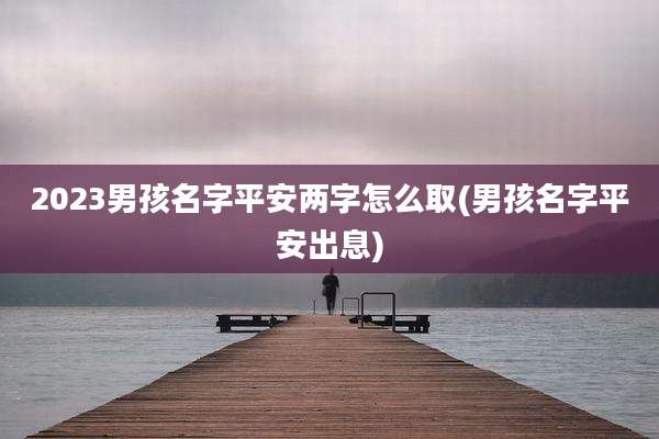2023男孩名字平安两字怎么取(男孩名字平安出息)