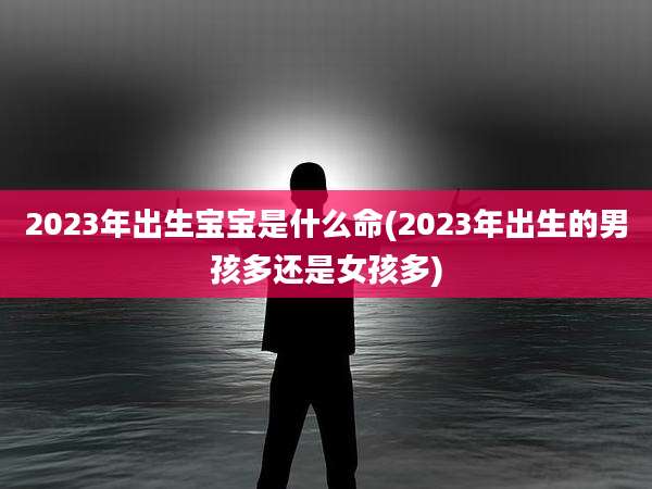 2023年出生宝宝是什么命(2023年出生的男孩多还是女孩多)