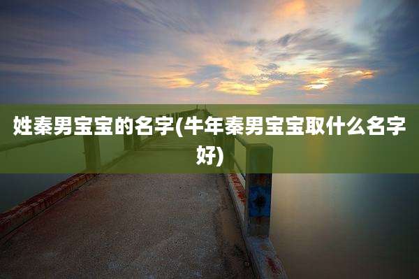 姓秦男宝宝的名字(牛年秦男宝宝取什么名字好)