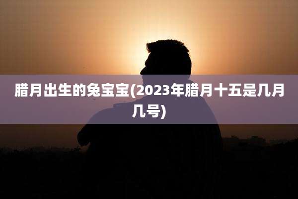 腊月出生的兔宝宝(2023年腊月十五是几月几号)