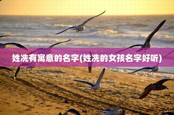 姓冼有寓意的名字(姓冼的女孩名字好听)