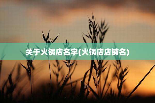 关于火锅店名字(火锅店店铺名)