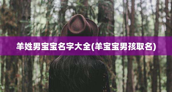 羊姓男宝宝名字大全(羊宝宝男孩取名)
