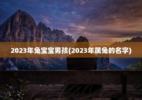 2023年兔宝宝男孩(2023年属兔的名字)