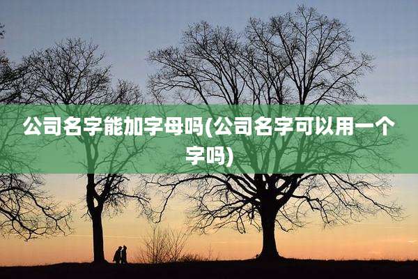 公司名字能加字母吗(公司名字可以用一个字吗)