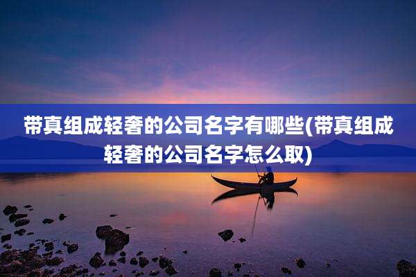 带真组成轻奢的公司名字有哪些(带真组成轻奢的公司名字怎么取)