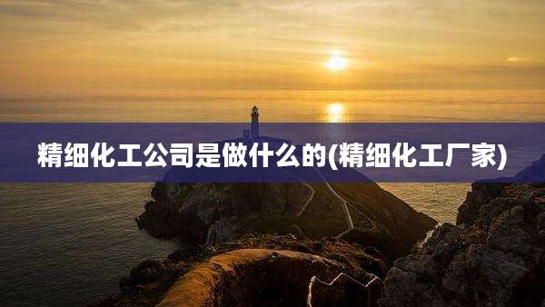 精细化工公司是做什么的(精细化工厂家)