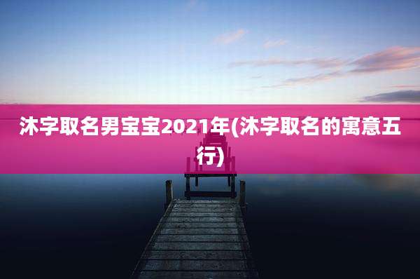 沐字取名男宝宝2021年(沐字取名的寓意五行)