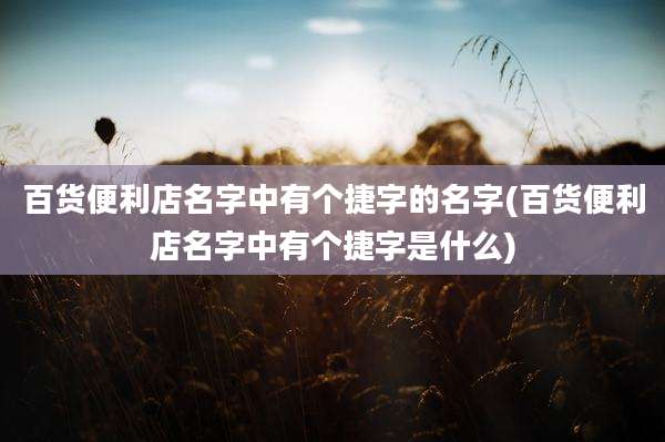 百货便利店名字中有个捷字的名字(百货便利店名字中有个捷字是什么)