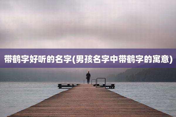 带鹤字好听的名字(男孩名字中带鹤字的寓意)