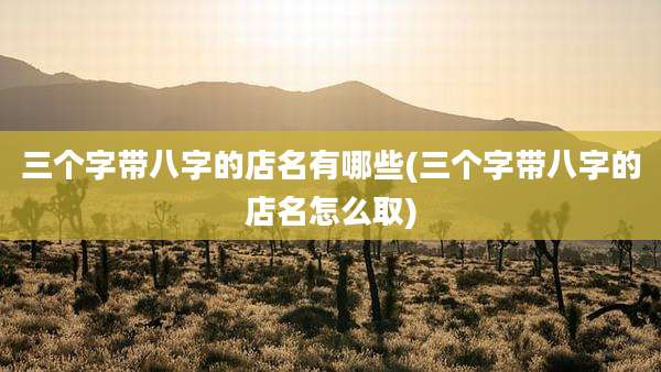 三个字带八字的店名有哪些(三个字带八字的店名怎么取)