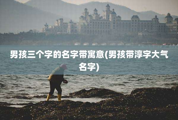 男孩三个字的名字带寓意(男孩带淳字大气名字)