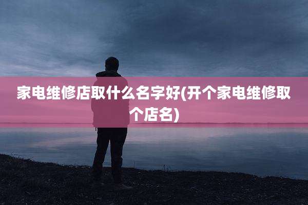 家电维修店取什么名字好(开个家电维修取个店名)