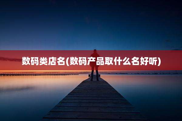 数码类店名(数码产品取什么名好听)