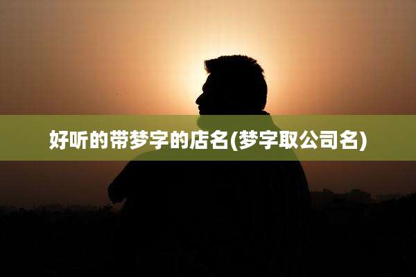 好听的带梦字的店名(梦字取公司名)